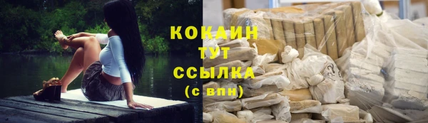 МДПВ Нефтегорск