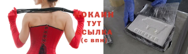 МДПВ Нефтегорск