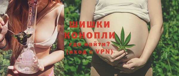 МДПВ Нефтегорск