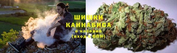 молекула духа Нефтекумск