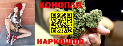 гидропоника Моздок