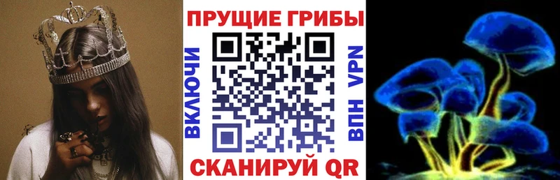цены   Заречный  Галлюциногенные грибы Psilocybe 