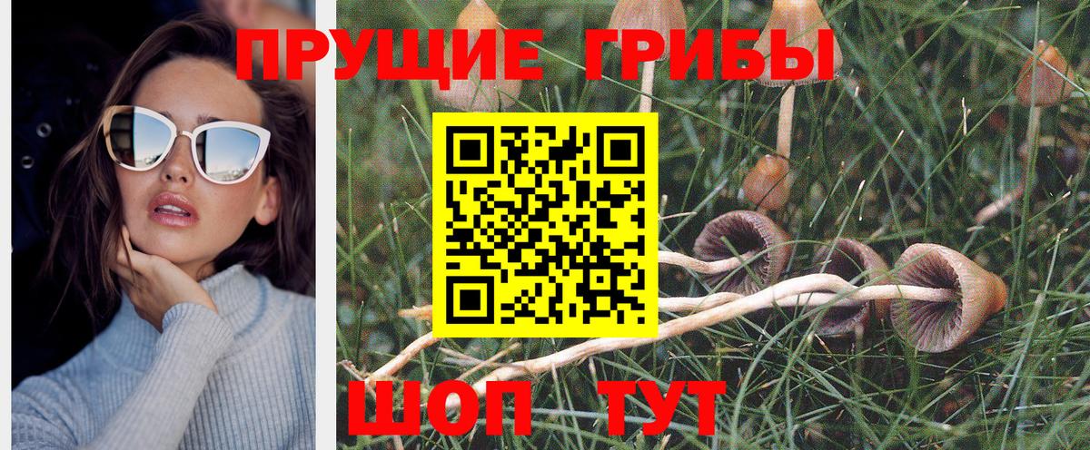 Псилоцибиновые грибы Psilocybe  Вход с VPN  купить закладку  Заречный 