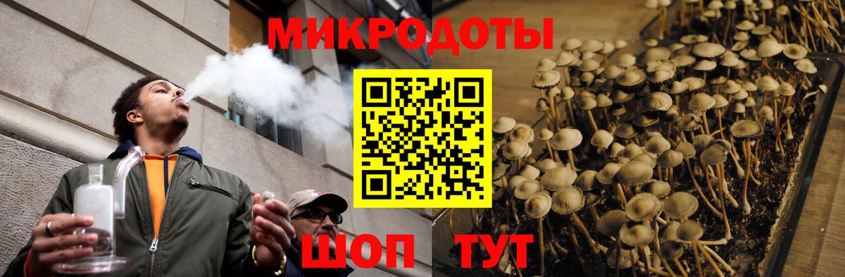 Псилоцибиновые грибы Psilocybe Заречный